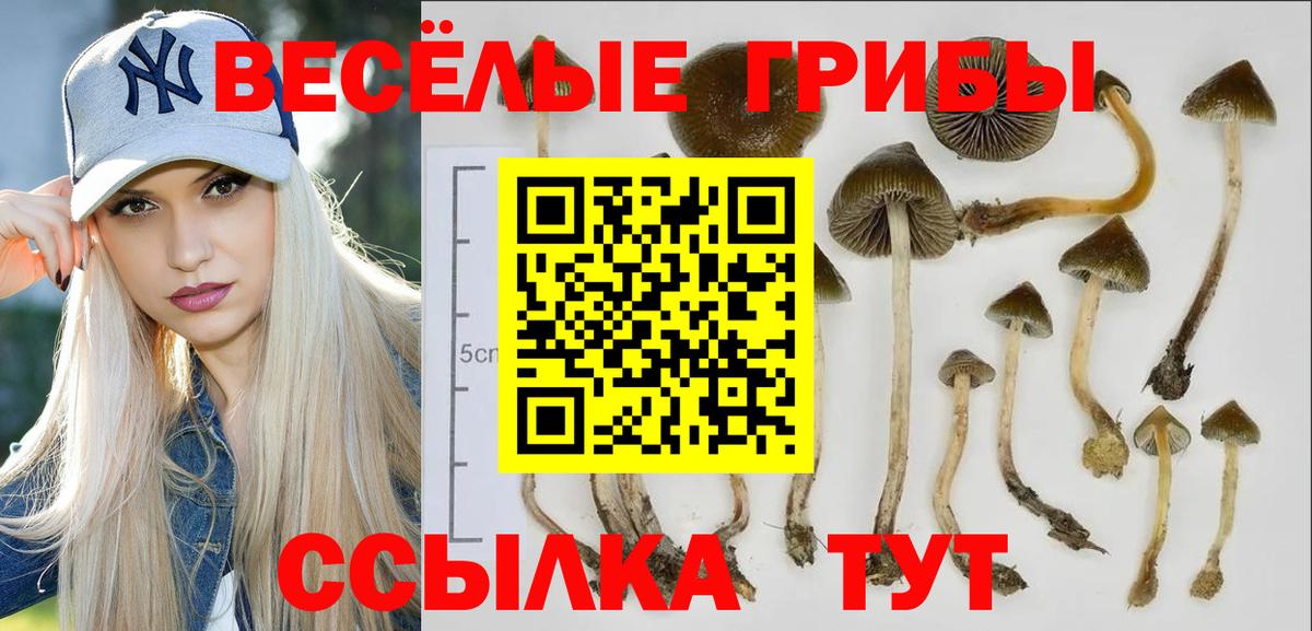 Галлюциногенные грибы мицелий Лабытнанги